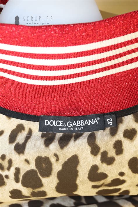 dolce gabbana antwerpen|Dolce & Gabbana stores and boutiques in Antwerp, Belgium.